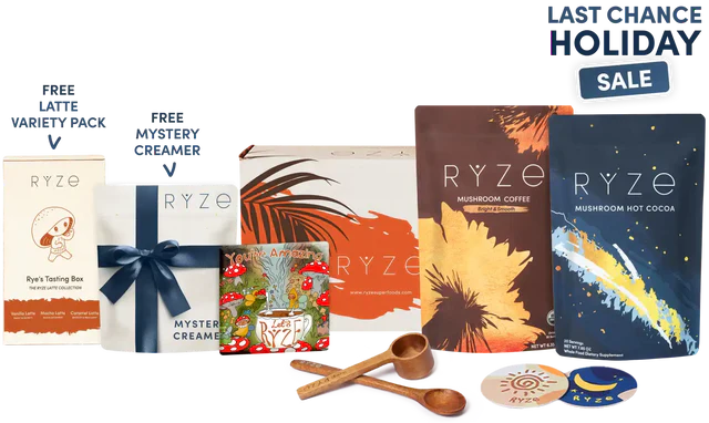 Bundle BD