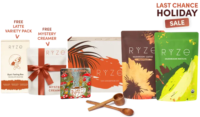Bundle BC